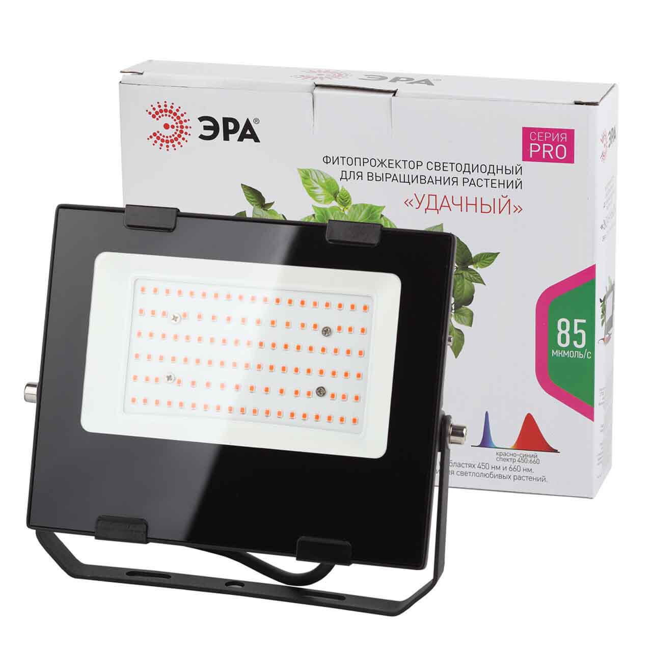 фото прожектор светодиодный эра 50w 1200k fito-50w-rb-led б0046368 | 220svet.ru