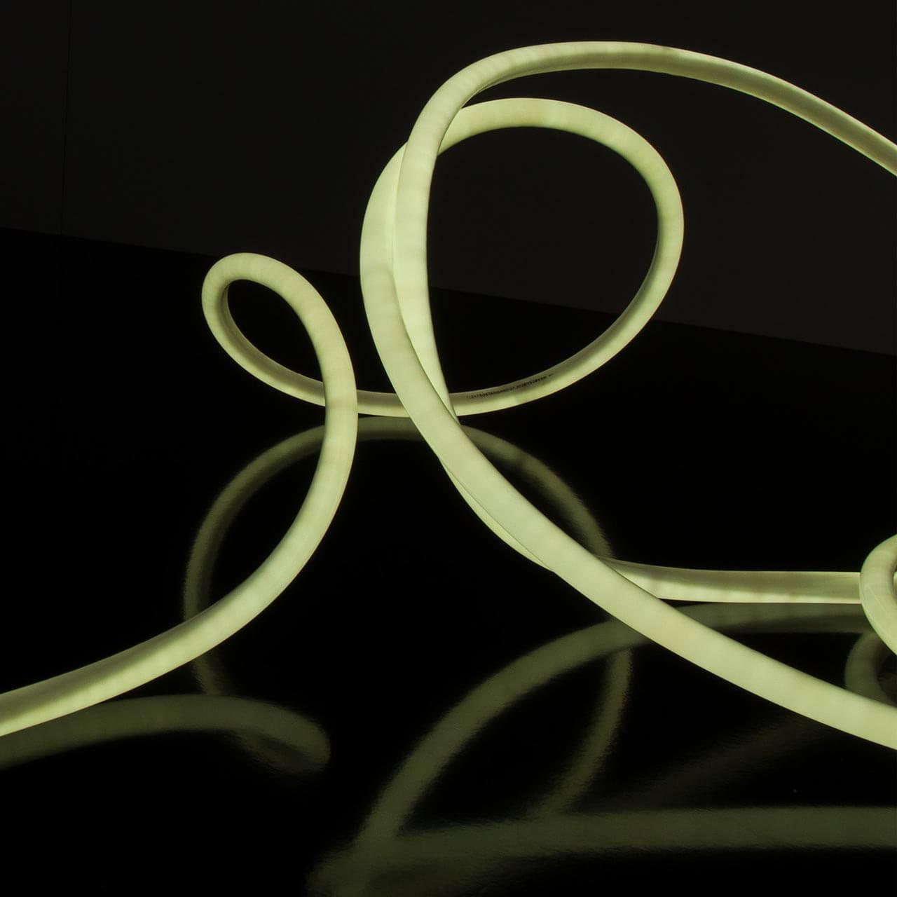 фото гибкий неон elektrostandard 9,6w/m 144led/m 2835smd холодный белый 50m a043547 | 220svet.ru