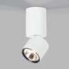 Миниатюра фото потолочный поворотный светодиодный светильник 10w 4000k elektrostandard sens 25042/led | 220svet.ru