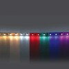 Миниатюра фото светодиодная лента rgb/холодный белый lightstar 14,4w/m 60led/m 5m 421200 | 220svet.ru