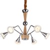 Миниатюра фото подвесная люстра lucia tucci natura 072.6 led | 220svet.ru