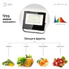 Миниатюра фото прожектор светодиодный для растений эра 100w 4000k fito-100w-ra90-led б0047876 | 220svet.ru
