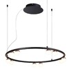 Миниатюра фото подвесная светодиодная люстра favourite knopp 4320-10p | 220svet.ru