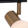 Миниатюра фото спот arte lamp falena a3117pl-2bk | 220svet.ru