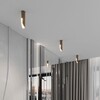 Миниатюра фото потолочный светодиодный светильник elektrostandard apex 25113/led a068290 | 220svet.ru