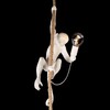 Миниатюра фото подвесной светильник loft it monkey 10314p | 220svet.ru