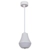 Миниатюра фото подвесной светильник reluce technical 16007-0.9-001il e27 wt | 220svet.ru