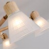 Миниатюра фото потолочная люстра arte lamp meleph a4096pl-5br | 220svet.ru