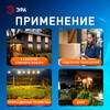 Миниатюра фото прожектор светодиодный уличный эра lpr-042-2-65k-030 б0064234 | 220svet.ru