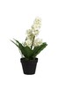 Миниатюра фото гиацинт в горшочке белый garda decor 8j-k0013/2 | 220svet.ru