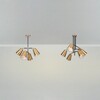Миниатюра фото потолочная люстра на штанге freya terra fr5260pl-04bs | 220svet.ru