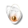Миниатюра фото бра inodesign clam 40.5630 | 220svet.ru