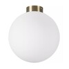 Миниатюра фото настенно-потолочный светильник lightstar globo 812031 | 220svet.ru